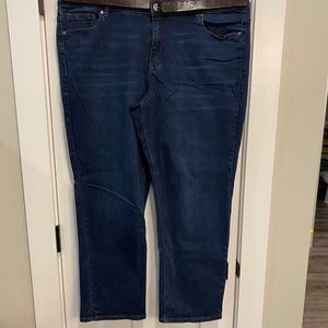 Lane Bryant Mid Rise Essential Stretch Straight Leg Jeans 22S